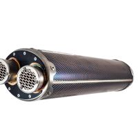 GPR pot echappement compatible avec  Triumph Tiger 1200 Gt - Rally 2022-2024, Dual Inox, Échappement légal, homologué,silencieux avec db killer amovible et tuyau de liaison spécifique 