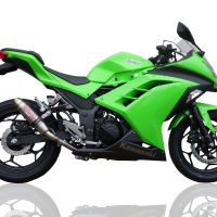 Pot echappement compatible avec Kawasaki Ninja 300 R 2012-2017, Deeptone Inox, Homologué et légal, système d'échappement complet avec catalyseur et db killer amovible 