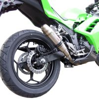 Pot echappement compatible avec Kawasaki Ninja 300 R 2012-2017, Deeptone Inox, Homologué et légal, système d'échappement complet avec catalyseur et db killer amovible 