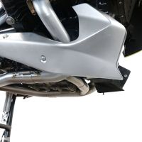 Pot echappement compatible avec Bmw R 1250 R -Rs 2019-2020, Decatalizzatore, Suppresseur de cataliseu, décatalyseurr, article sans homologation 