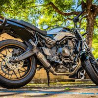 Pot echappement compatible avec Kawasaki Z 650 RS 2021-2023, Deeptone Inox, Pot echappement racing, ligne complet, fourni avec collecteur spécifique, article sans homologation 