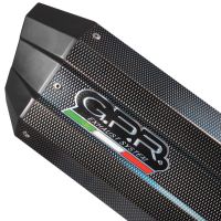 Pot echappement compatible avec Bmw R 1250 R -Rs 2019-2020, Sonic Poppy, Échappement légal, homologué,silencieux avec db killer amovible et tuyau de liaison spécifique 