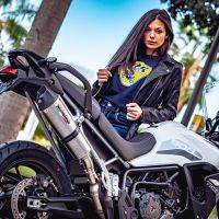 GPR pot echappement compatible avec  Triumph Tiger 900 2020-2023, New Grand Prix Evo Titanium, Échappement légal, homologué,silencieux avec db killer amovible et tuyau de liaison spécifique 