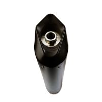 Pot echappement compatible avec Bmw G 310 R 2017-2021, Furore Nero, Pot d'échappement complet racing, compris de collecteur et db killer amovible, sans homologation 