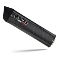 Pot echappement compatible avec Bmw G 310 R 2022-2024, Furore Evo4 Poppy, Homologué et légal, système d'échappement complet avec catalyseur et db killer amovible 